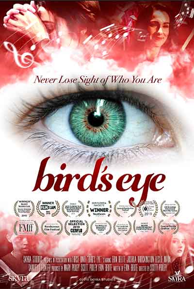 Bird's Eye poster